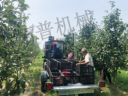 银杏视频推广二维码