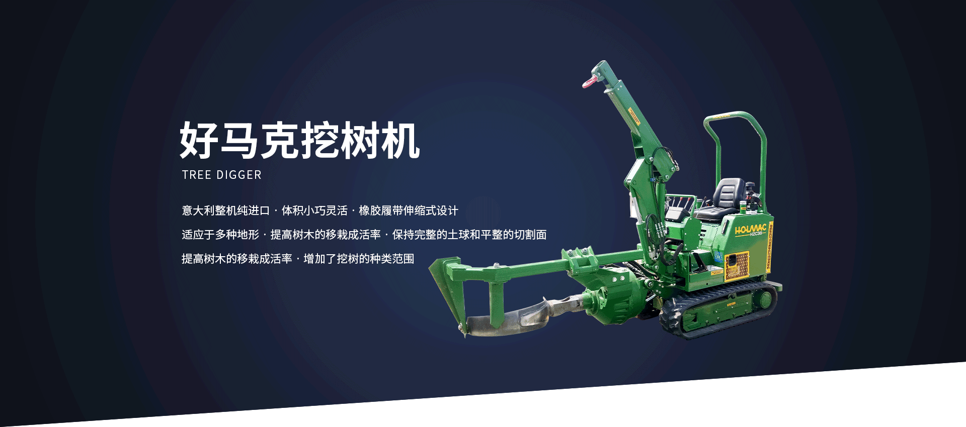 好马克银杏视频推广下载入口