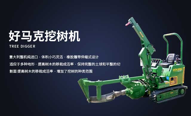 好马克银杏视频推广下载入口