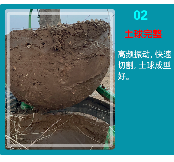 银杏视频推广下载入口