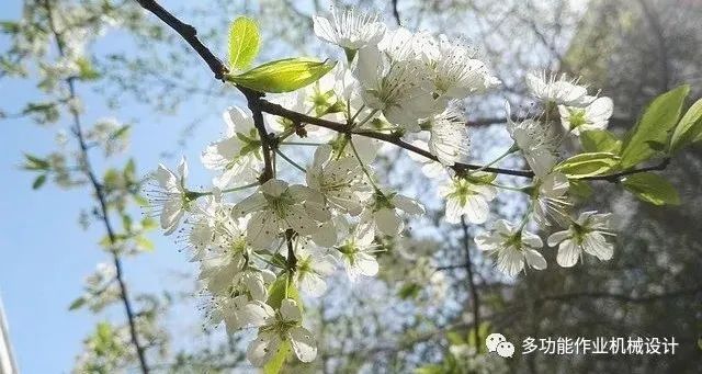 多功能果园作业平台--果园管理的好搭档！